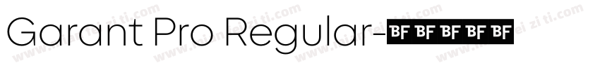 Garant Pro Regular字体转换